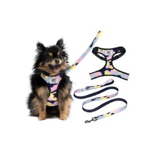 Colorful Camo Dog Harness Set with Adjustable Puppy Leash and Mesh Padding