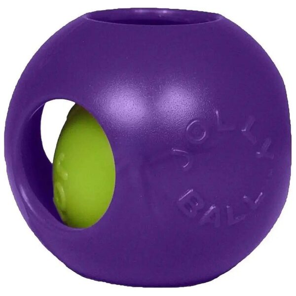 Colorful Dog Toy with Ball Within Ball for Interactive Play