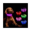 Colorful Glow Up Night Walking Dog Collars for Small Medium Large Dogs