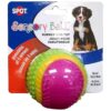 Colorful Sensory Ball with Sensory Stimulation, Smell, and Hearing for Dogs