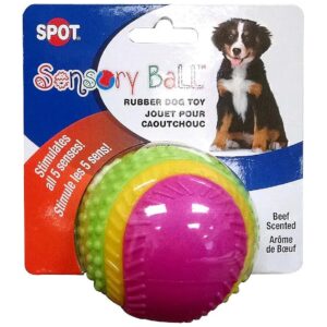 Colorful Sensory Ball with Sensory Stimulation, Smell, and Hearing for Dogs