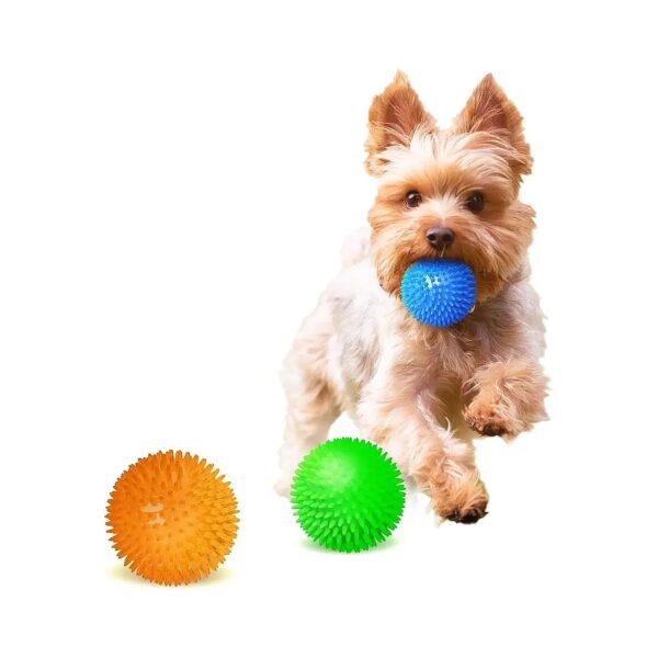 Colorful and Durable Squeaky Toys for Dogs, Ferrets, and Cats