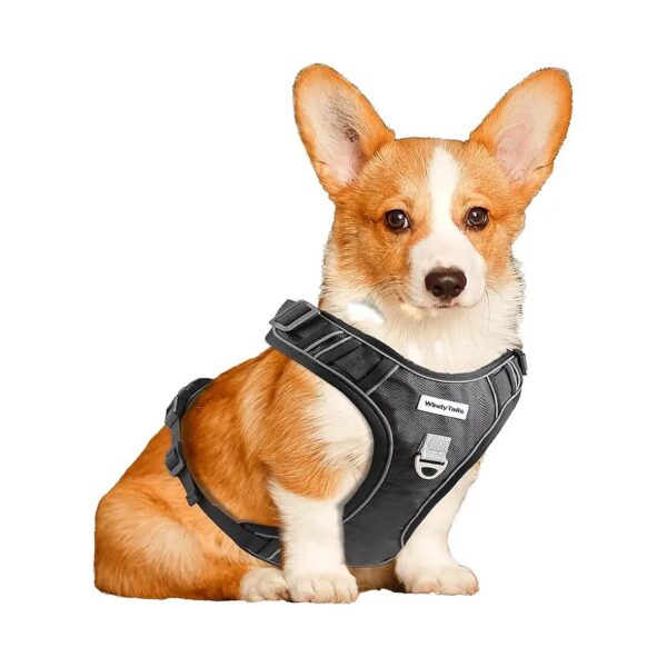 Comfort Adjustable Dog Harness for Small Medium and Large Dogs with Front Clip