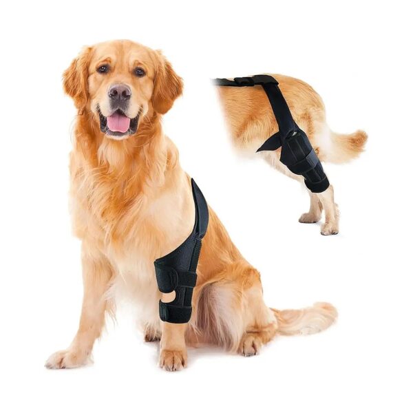 Comfort Elbow Support Pads for Canine Elbows and Shoulders Shoulder Protection