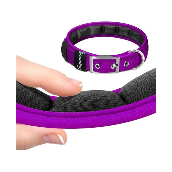 Comfort Fit Soft Padded Dog Collars XS 10-12 inches Adjustable Buckle Purple Dog Collar