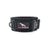 Comfort and Safety Neoprene Padded Dog Collar with High Strength Buckle