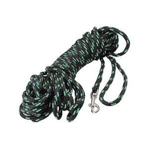 Comfortable 30ft Braided Nylon Dog Leash for Training Small Dogs