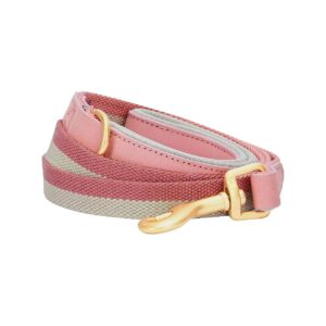 Comfortable 6 ft Leash for Small Dogs with Polyester Webbing and Leather - Pink and Grey