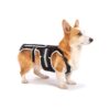 Comfortable Back Relief Harness for Adult Dogs with IVDD and Patella Issues