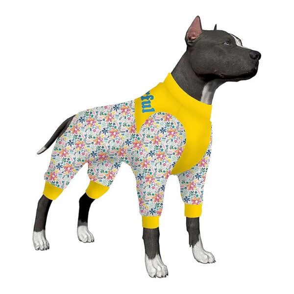 Comfortable, Breathable, and Protective Apparel for Big Dogs