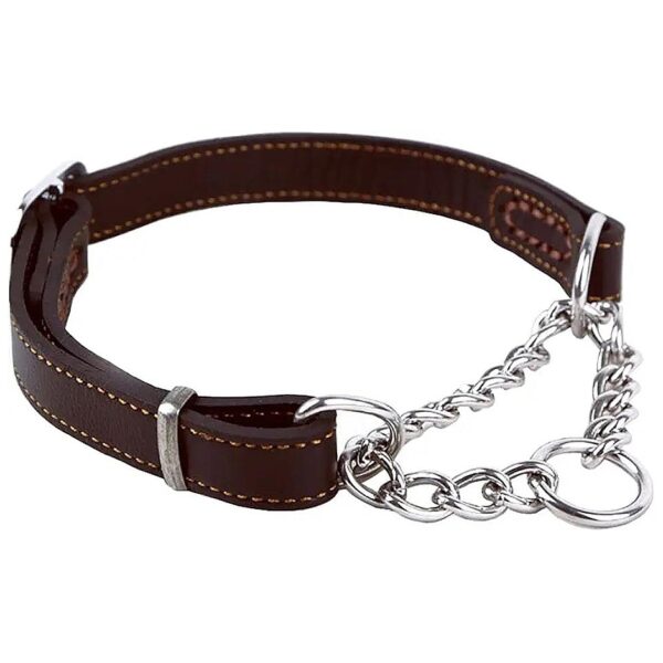 Comfortable Brown Martingale Collar for Small to Medium Dogs with Stainless Steel Chain