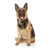 Comfortable Camo Dog Bandana for Medium to Large Size Dogs