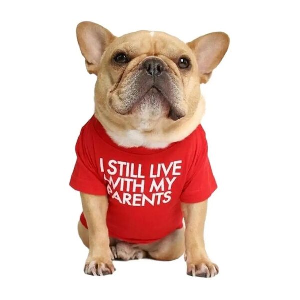 Comfortable Dog Clothing for Medium Breeds with I Still Live with My Parents Print