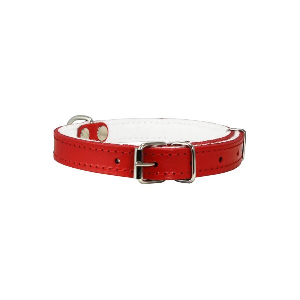 Comfortable Dog Collar for Small to Medium Breeds in Soft Red Leather