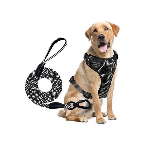 Comfortable Dog Harness and Leash Set with Reflective Accents for Small to Large Dogs