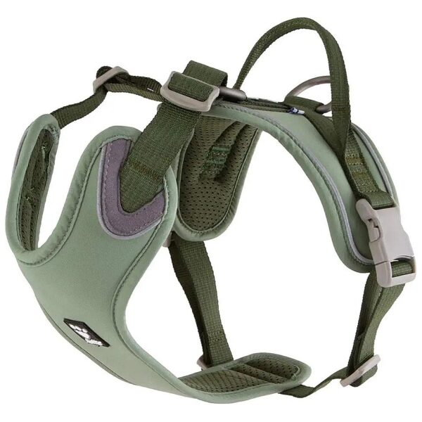 Comfortable Dog Harness for Daily Walks and Active Playtime in Hedge