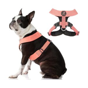 Comfortable Dog Harness for Small Breed Dogs with Easy-Snap Buckles and Flexible Frame