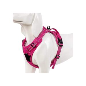 Comfortable Dog Harness with 2 Leash Clips and Soft-Padded Chest Belt