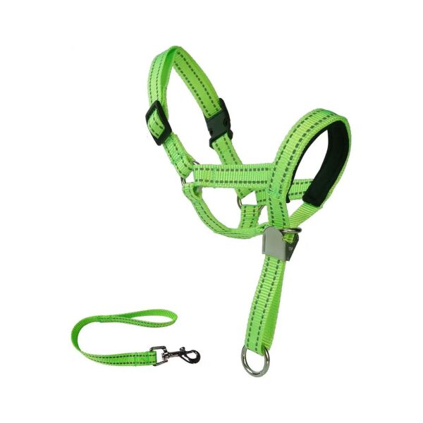 Comfortable Dog Head Halter with Safety Buckle and Reflective Strap