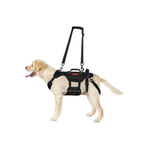 Comfortable Dog Lift Harness with Durable Stainless Steel Hardware for Small Dogs