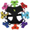 Comfortable Eco-Friendly Dog Harness for Small and Medium Size Dogs