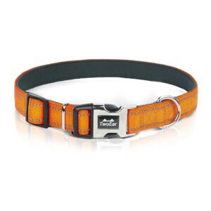 Comfortable Heavy Duty Collar for Small Dogs with Metal Buckle and Neoprene Padding