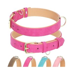 Comfortable Leather Dog Collar with Soft Padded Interior and Heavy Duty Buckle XS