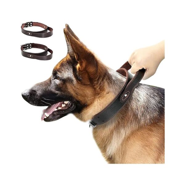 Comfortable Leather Dog Collar with Soft Touch and Adjustable Size for Neck 19-5 Inches