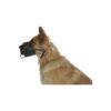 Comfortable Leather Muzzle with Soft Padded Interior