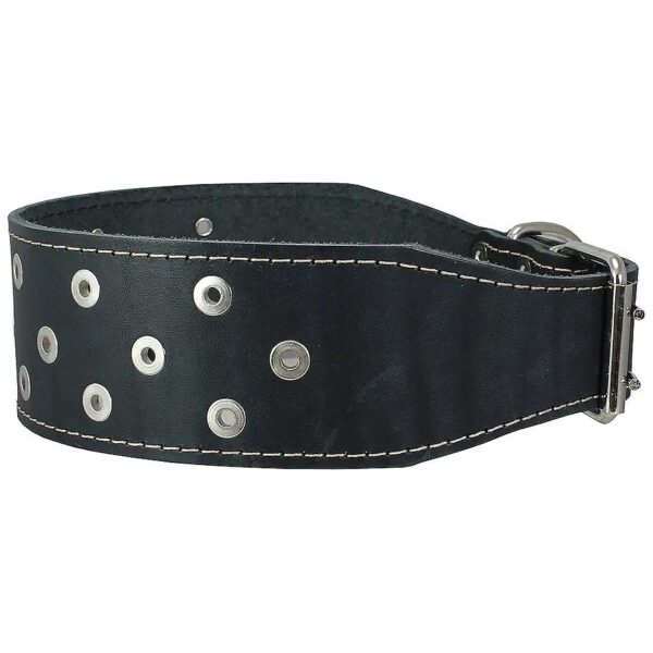 Comfortable Leather Studded Black Adjustable Collar for Medium Breeds