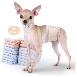 Comfortable Male Dog Diapers XSmall XS Size for Excitable Dogs Incontinence Relief