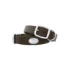 Comfortable Medium Pet Brown Leather Concho Dog Collar with 2 Decorative Silver Logos