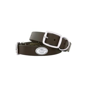 Comfortable Medium Pet Brown Leather Concho Dog Collar with 2 Decorative Silver Logos