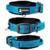 Comfortable Medium to Large Dog Collar with Nickel-Plated Buckle and Soft Handle