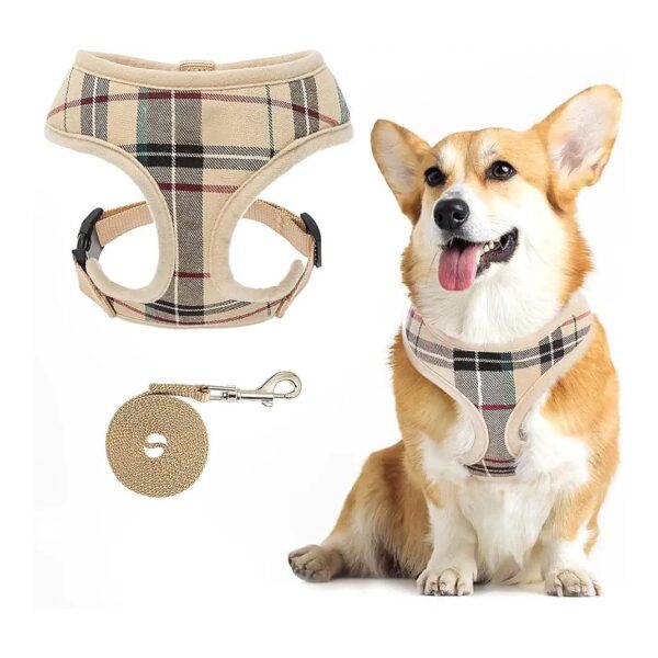 Comfortable Mesh Dog Harness and Leash Set for Small to Medium Dogs