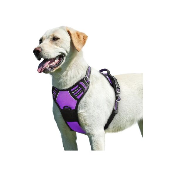 Comfortable No Pull Dog Harness with Adjustable Straps and 2 Metal Leash Rings