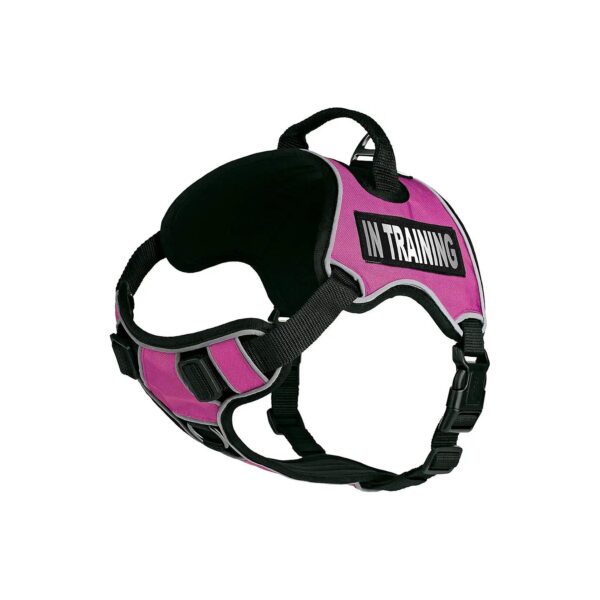 Comfortable No-Pull Dog Harness with Reflective Patches for Easy Training