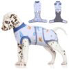 Comfortable Pet Recovery Suit for Small Dogs Bichon Shih Tzu Miniature Dachshund and More