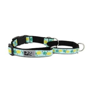 Comfortable Pineapple Parade Patterned Dog Collar with Easy Clip Closure