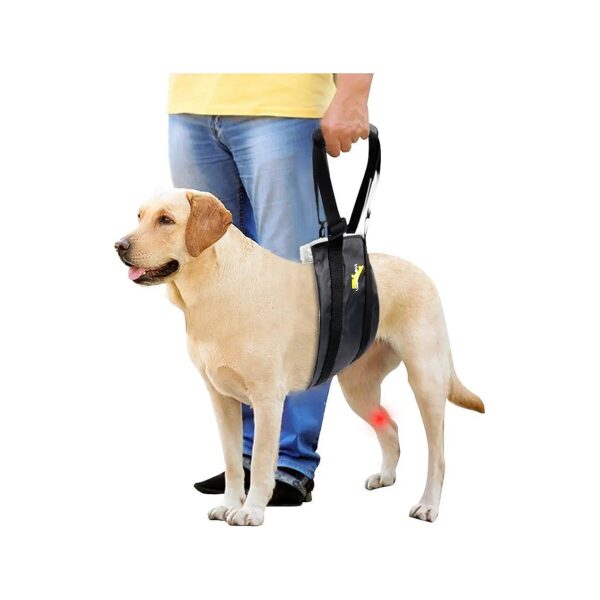 Comfortable Rear Leg Support Harness for Old Dogs with Arthritis and Joint Damage Relief