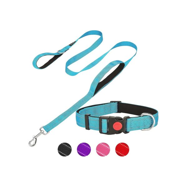 Comfortable Reflective Dog Leash and Collar Set with Safety Lock and Padded Handles