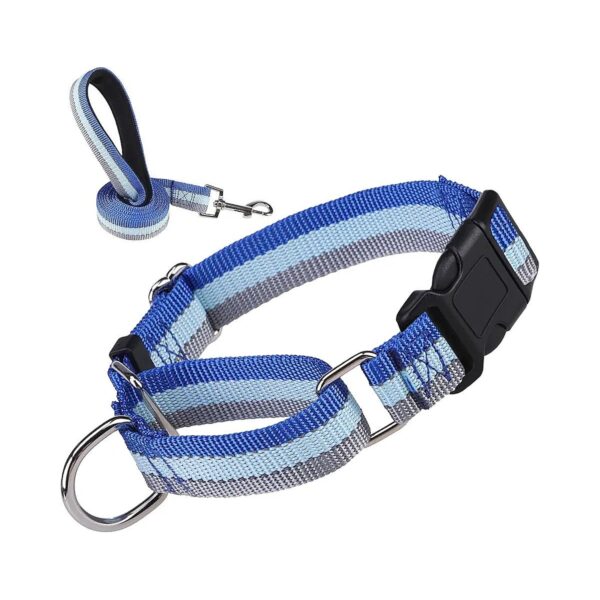 Comfortable Reflective Martingale Dog Collar and Leash Set for Small Medium Large Dogs