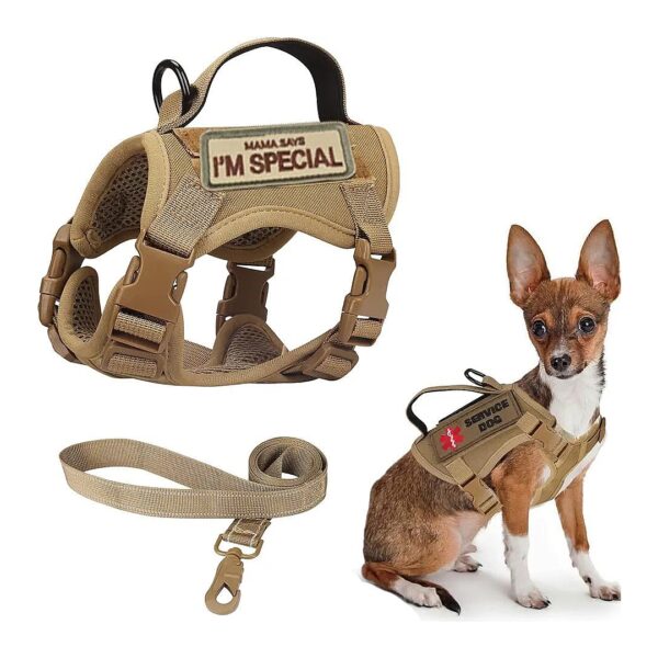 Comfortable Small Dog Harness with 3-Patch Design and Adjustable Straps