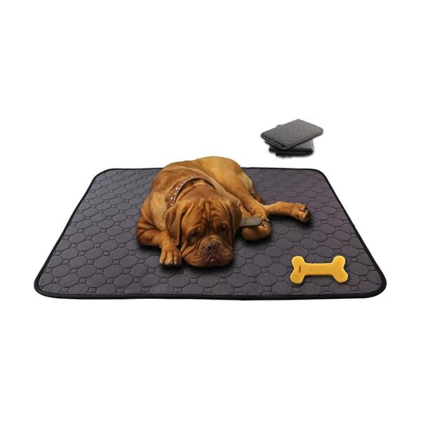 Comfortable Soft Breathable Dog Pee Pads for Fast Absorption and Leakproof