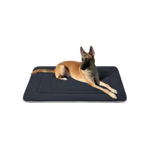 Comfortable Soft Kennel Pad Crate Mat for Small to Large Dogs Dark Gray 42x28 Inches