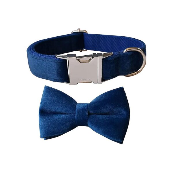 Comfortable Velvet Dog Collar with Bowtie and Buckle for Small Medium Large Dog Breeds