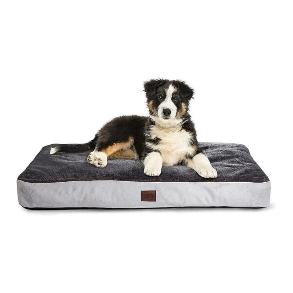 Comfortable Waterproof Small Dog Bed with Washable Covers for Small Dogs Up to 30 Lbs