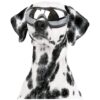 Comfortable Windproof Fog-Proof Dog Goggles for Medium-Large Dogs