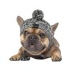 Comfortable Windproof Knitted Dog Hat for Medium Breed Dogs