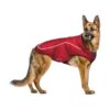 Comfortable Winter Dog Jacket with Machine Washable Fabric and Water-Repellent Insulation